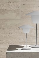 Ljusgrå LED-Lampa Bärbar Utomhus och Inomhus - Blomus ANI