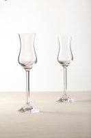 DAILY - Snyggt grappaglas från Leonardo i Teqtonglas | Online hos Northmans.se