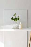 Ekologisk Handtvål med Doft av Gran - Tangent GC Fir